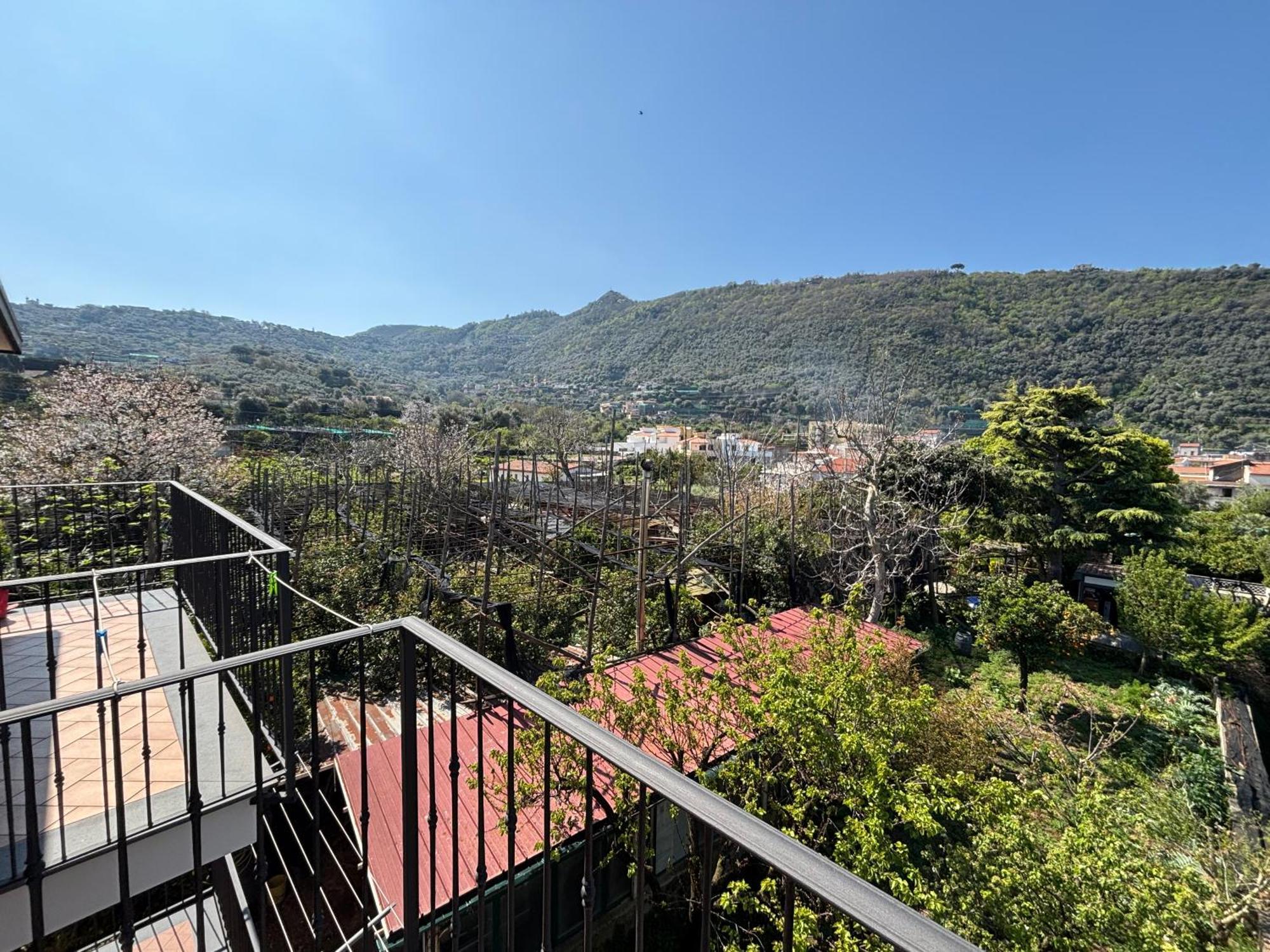 Intero Appartamento A Sant'Agnello , Le Ortensie 外观 照片