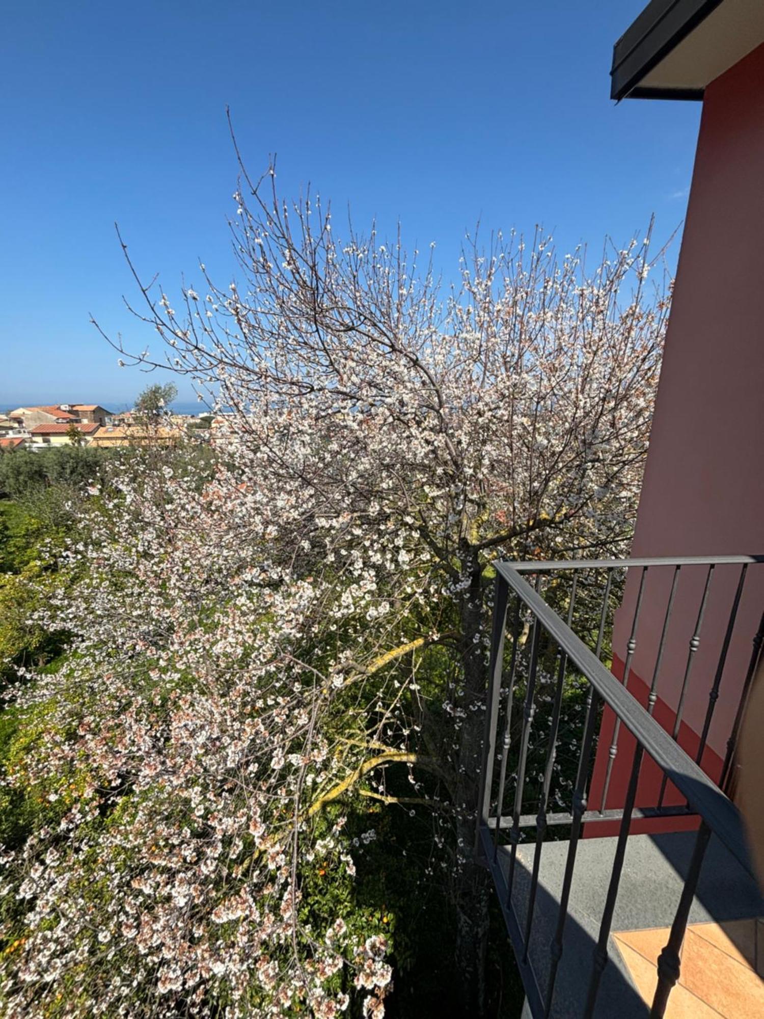Intero Appartamento A Sant'Agnello , Le Ortensie 外观 照片